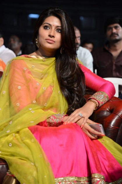 Ulavacharu-Biryani-Audio-Launch